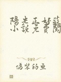 阳光正好苏玥玥小说免费阅读