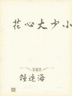 花心大少小说