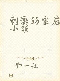 刺激的家庭乱仑小说