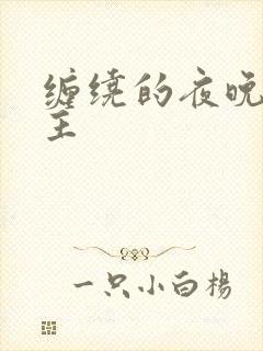 缠绕的夜晚双男主