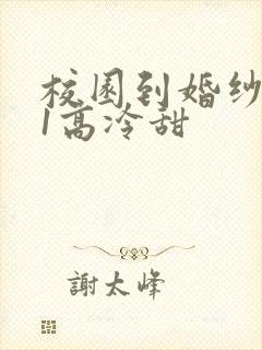 校园到婚纱1V1高冷甜