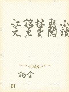 江铭林熙小说全文免费阅读