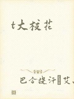 t大校花
