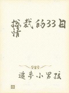 总裁的33日索情