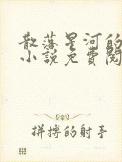 散落星河的记忆小说免费阅读全文