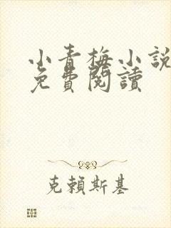 小青梅小说全文免费阅读