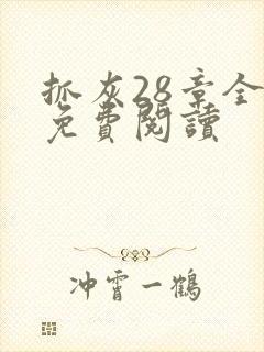 抓灰28章全部免费阅读