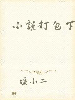 小说打包下载