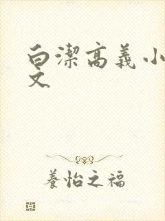 白洁高义小说全文