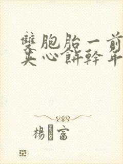 双胞胎一前一后夹心饼干年下