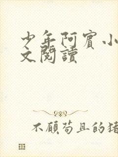 少年阿宾小说全文阅读