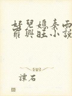 好儿媳秦雨罗明罗兴旺小说