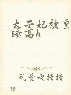 太子妃被皇上强睡高h