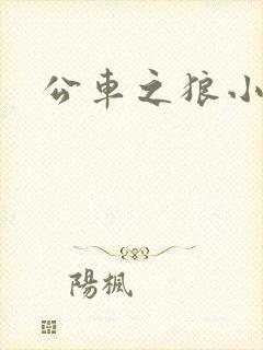 公车之狼小说