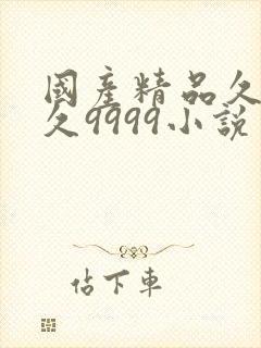 国产精品久久久久9999小说