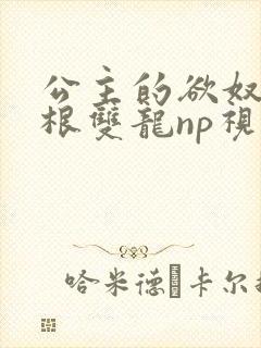 公主的欲奴h四根双龙np视频