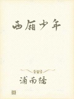 西厢少年