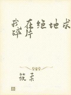 我在绝地求生捡碎片