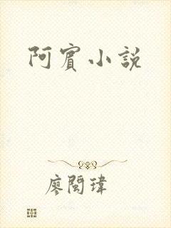 阿宾小说