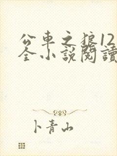 公车之狼12集全小说阅读