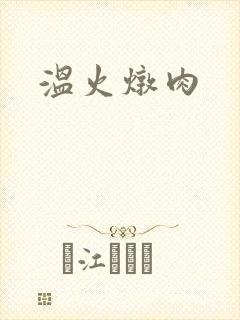温火炖肉
