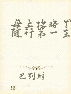 母上攻略 竹影随行第一主板