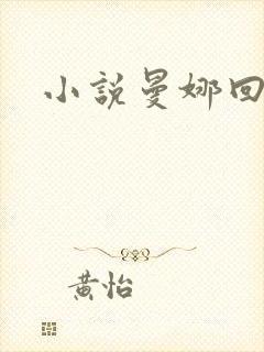 小说曼娜回忆录