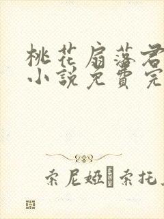 桃花扇落君不还小说免费完整版