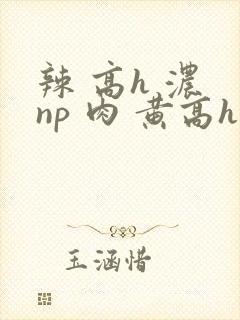 辣 高h 浓 np 肉 黄高h