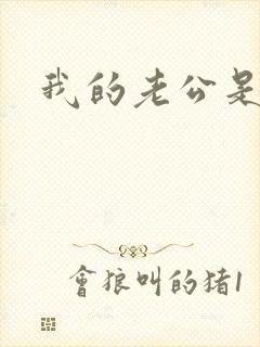 我的老公是军阀