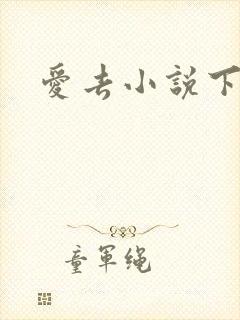 爱去小说下载网