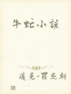 牛虻小说