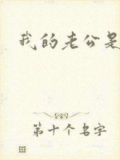 我的老公是冥王