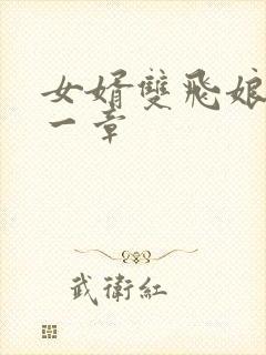女婿双飞娘俩第一章