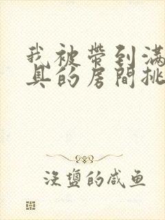 我被带到满是玩具的房间挑调作文