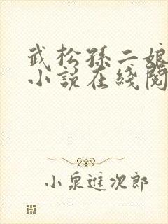 武松孙二娘云雨小说在线阅读