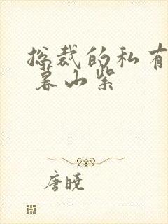 总裁的私有宝贝 暮山紫