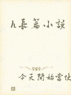 h长篇小说