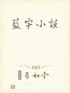 蓝宇小说