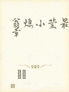 翁熄小莹最新节章