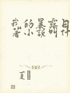 我的暴露日记原著小说叫什么