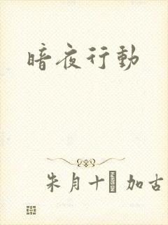 暗夜行动