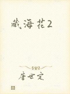 藏海花2