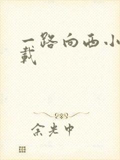 一路向西小说下载