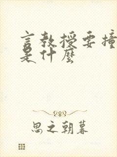 言教授要撞坏了是什么