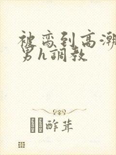 被脔到高潮的直男h调教