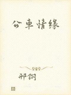 公车情缘