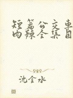 短篇公交车高h肉辣全集目录