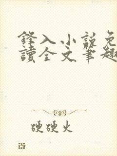 锋入小说免费阅读全文笔趣阁