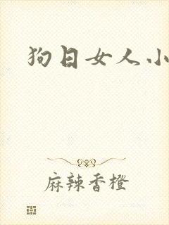 狗日女人小说